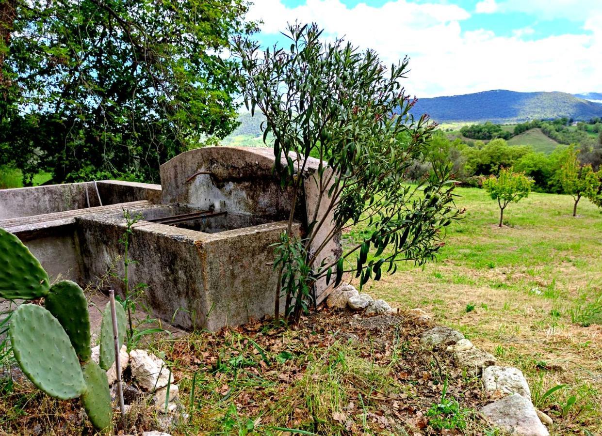 Gasthaus Ai Limiti • 67 • Stonehouse Palombaro Exterior foto